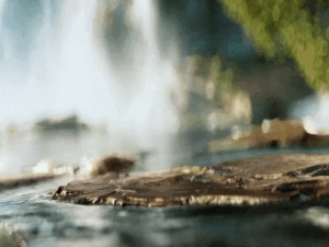gifs6_1776252906.gif