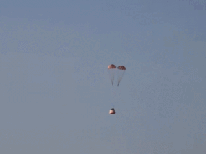 gifs9_1775826332.gif