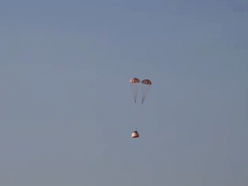 gifs9_1775826332.gif