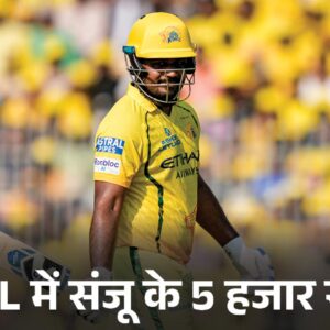 ipl-5_1777212500.jpg