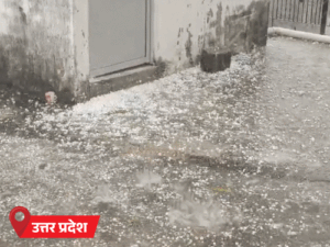 location-1_1775408398.gif