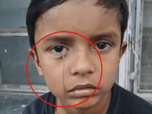 anigif56556_1779349560.gif