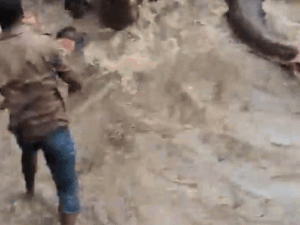 comp-1-7_1779104402.gif