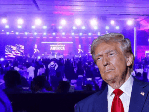 comp-1-81_1779641137.gif