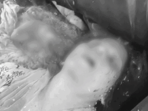comp-212-5_1779075188.gif