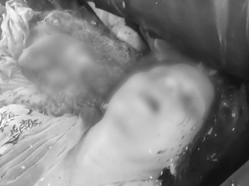 comp-212-5_1779075188.gif