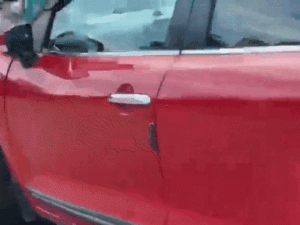 gif-6_1779330781.gif