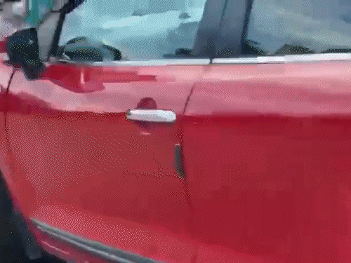 gif-6_1779330781.gif