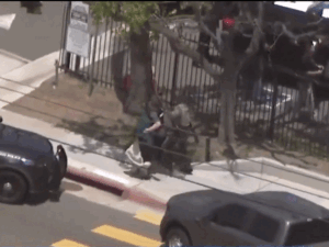 gifmagicsite-35_1779144727.gif