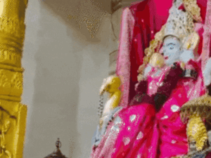raghu-sharma-1_1780159609.gif