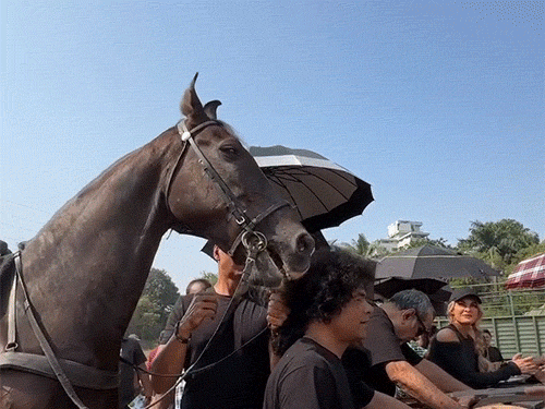 14-1_1780718668.gif
