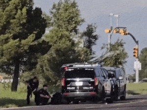 1_1781305517.gif