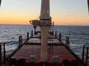 55_1781158434.gif