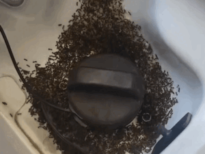 dbgifmagic1782143307_1782241613.gif