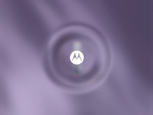 gifs13-11772811335_1781957750.gif