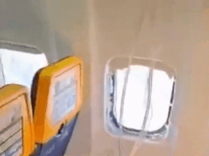 comp-154_1783688529.gif