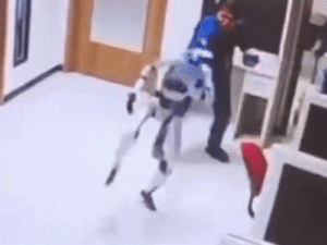 comp-1_1783530535.gif
