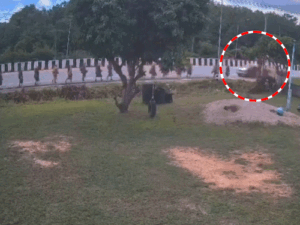 comp-4511783065977_1783076862.gif