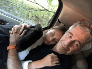 dbgifmagic__4_1785178480507.gif