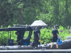 ezgif-6dc9ab89cfebc5b0_1783400623.gif