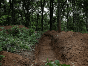 dbgifmagic_-_2026-08-31t045708_779_1788132529791.gif