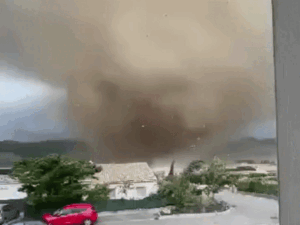 dbgifmagic__11_1787643978414.gif