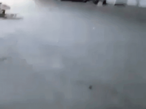 dbgifmagic__12_1786079207698.gif