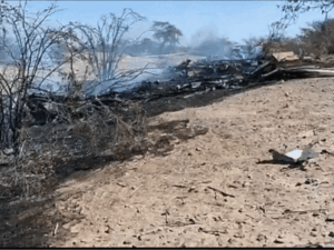 dbgifmagic__24_1785621236946.gif