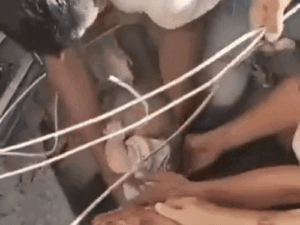 dbgifmagic__2_1786534696740.gif