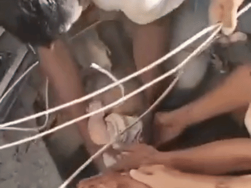 dbgifmagic__2_1786534696740.gif