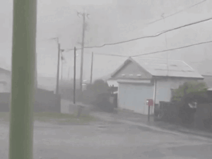 dbgifmagic__30_1786117020242.gif