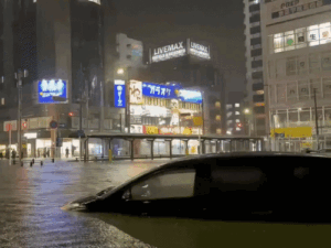dbgifmagic__37_1786686540813.gif