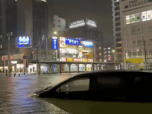 dbgifmagic__37_1786686540813.gif