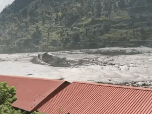 dbgifmagic__57_1787879134385.gif