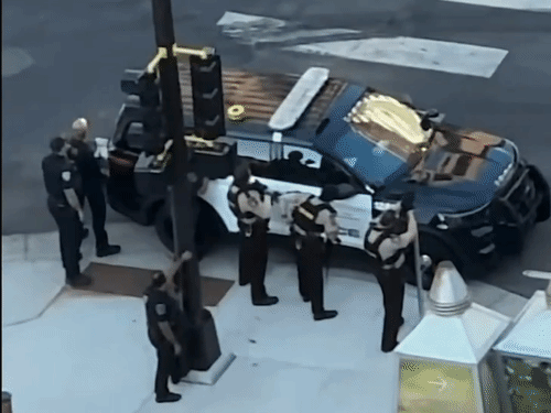 dbgifmagic__56_1788398603231.gif